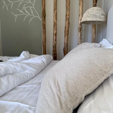Inn Alga Luxury *